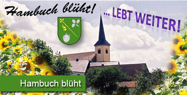 Hambuch blüht