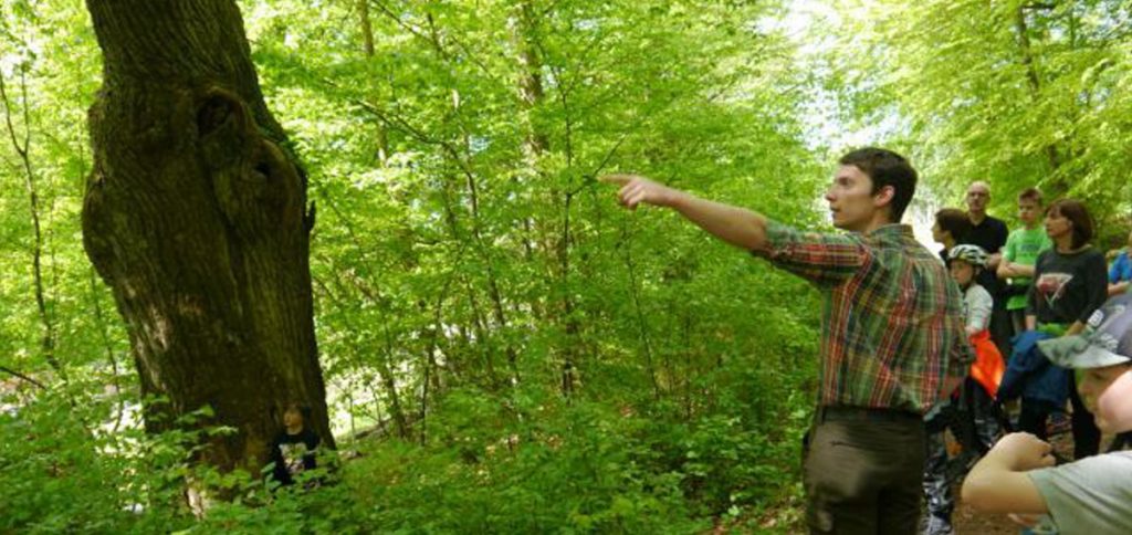 Den Wald mit anderen Augen sehen