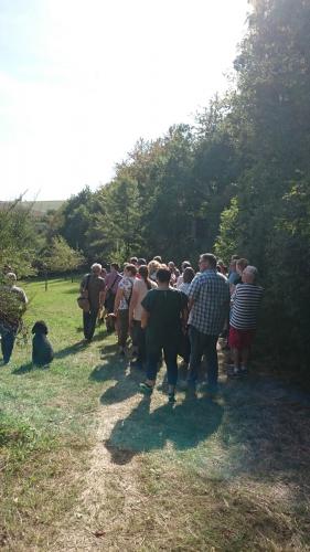 Bilder-Wanderung-entlang-der-Ortsgrenze-(1)