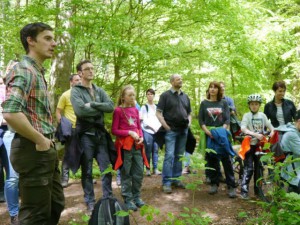 Den Wald mit anderen Augen sehen