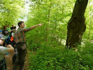 Den Wald mit anderen Augen sehen