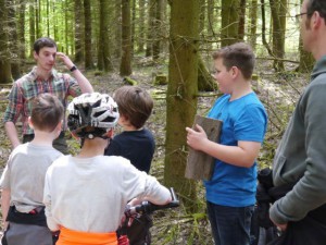 Den Wald mit anderen Augen sehen