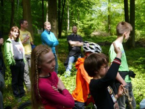 Den Wald mit anderen Augen sehen